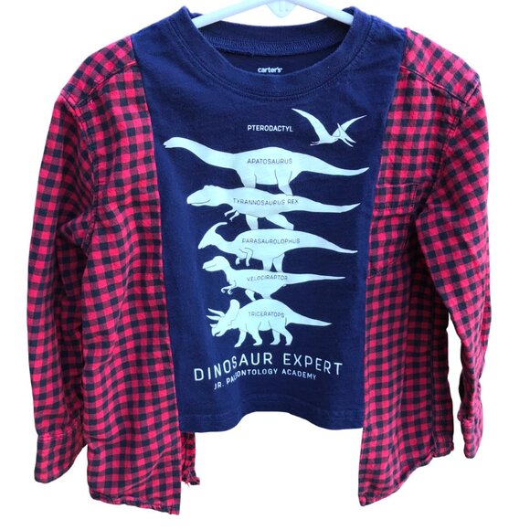 Upcycled Kid’s Flannel Tee: Dinosaur Graphic T-Shirt w/Flannel Sleeves, Size 2-4 - Picture 1 of 9
